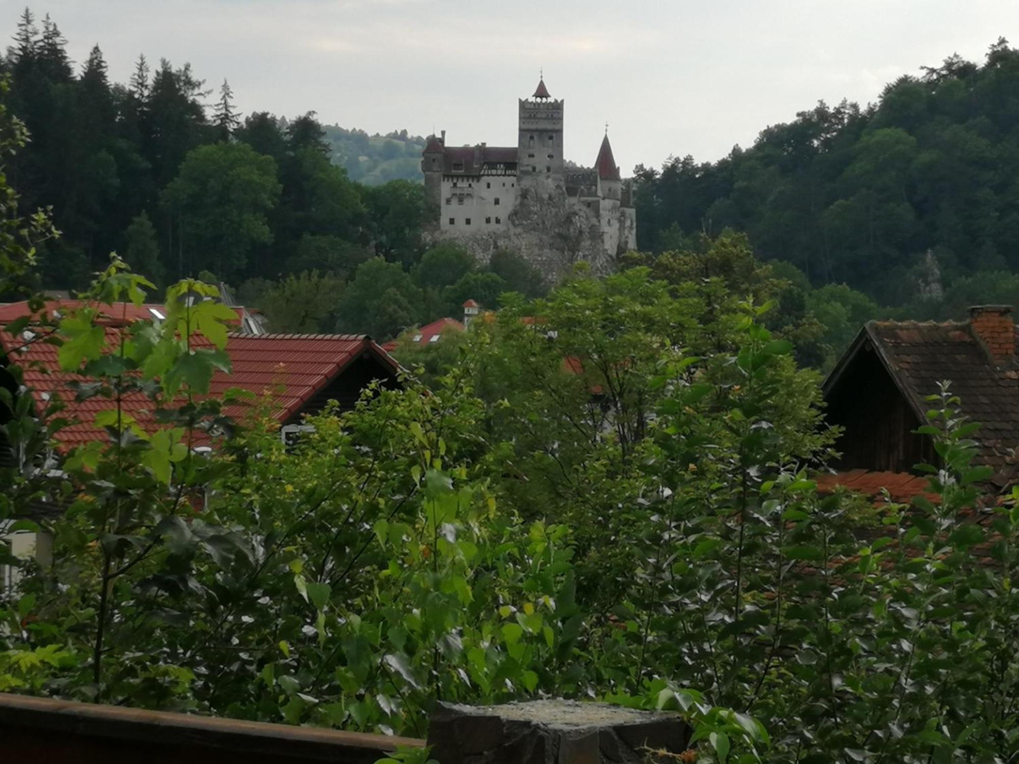 Pensiunea Transilvania Lodge Bran  Exterior foto
